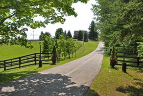 Century Farm, King - Country Homes for sale and Luxury Real Estate in Caledon and King City including Horse Farms and Property for sale near Toronto
